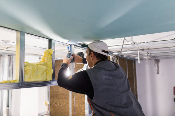 Best Types of Insulation in Iola, WI